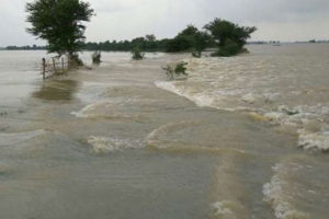 भारतमा बाढीका कारण मृत्यु हुनेको संख्या छ सय पुग्यो