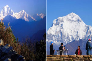 धौलागिरि आधार शिविर पुग्ने पदमार्ग निर्माण