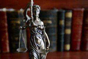 विद्यालय तहमा पहिलोपटक कानूनको पढाइ शुरु