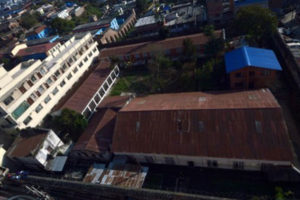 कारागारभित्र विषजन्य वनस्पति सेवन गराएको खुलासा