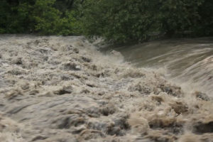 आसाममा बाढीका कारण मृत्यु हुनेको संख्या ३२ पुग्यो