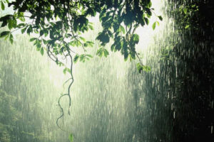 अझै तीन दिन देशभर वर्षा