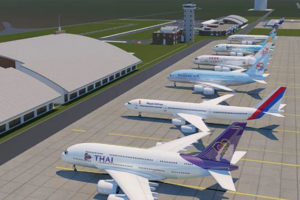 स्वर्गद्वारी विमानस्थल निर्माणका लागि ७७ करोडको योजना, १८ प्रजातिका ६ हजार २५६ बिरुवा नोक्सान हुने