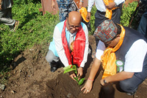 प्रदेश नं १ मा एक घरले पाँच बिरुवा रोप्नुपर्ने