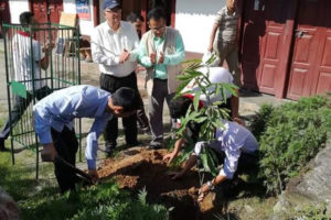 सनराईज बैंकको बार्षिकोत्सव: धनकुटा बजार क्षेत्रमा पुष्पबृक्षरोपण (फोटो फिचरसहित)