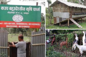 साँगुरिगढीमा संयुक्त लगानीमा कृषि फर्म सञ्चालन