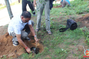 धनकुटामा संविधान दिवसको अवसर पारेर सरसफाई र वृक्षारोपण