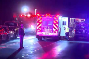 न्यूयोर्कमा भयानक सडक दुर्घटना: २० को मृत्यु