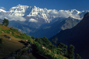गुर्जा हिमाल आरोहण गर्न गएका आठजनाको मृत्यु