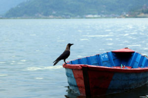 नेपालीहरुको दोस्रो ठूलो चाड यमपञ्चक शुरु, आज काग तिहार