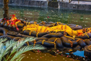 देशभरका नारायण मन्दिरमा बिहानैदेखि भक्तजनको भीड