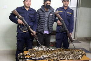 चितुवाको छालासहित युवक पक्राउ