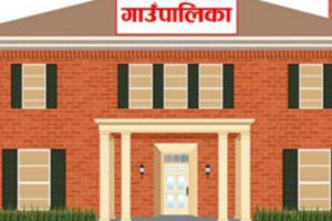 मिर्गाैला उपचारमा गाउँपालिकाको सहयोग