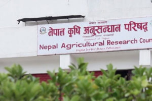 नार्कमा दरबन्दीभन्दा आधा वैज्ञानिक