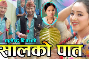 सालको पातका दुई करोड ‘भ्युअर्स’