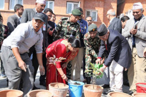 प्रधानमन्त्रीद्वारा जन्मदिनको अवसरमा वृक्षारोपण