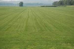 बाँझो जग्गा भूमिहीन परिवारलाई