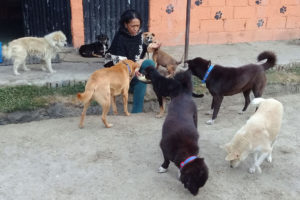 असक्त, असहाय र छाडा कुकुरकी आमा ‘बीना’