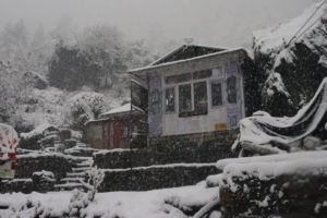 हिमपातले मर्न थाले चौँरी