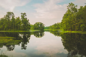 मासिँदै सिमसार