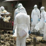 झापाको दमकमा पनि बर्डफ्लु संक्रमण