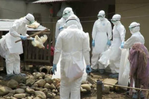 भक्तपुरमा बर्डफ्लु, दुई हजार ९०० कुखुरा नष्ट