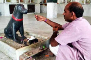 कुकुरको पूजा हुने यो हो अनौठो मन्दिर