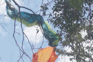 पोखरामा फेरि प्याराग्लाइडिङ दुर्घटना