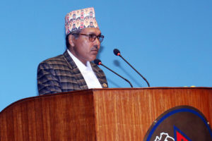 दुई विधेयक पारित, दुई विधेयक समितिमा