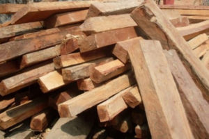 झापामा सखुवाको काठ बरामद