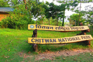 चितवन राष्ट्रिय निकुञ्ज घुम्ने पर्यटकलाई टिफिन बक्स