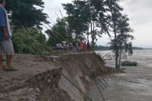 तीन सय बिघा वन बग्यो