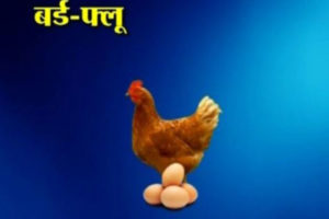 नेपालमा पहिलो पटक बर्ड फ्लुबाट मानिसको मृत्यु