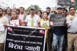 भारतीय तरकारीमा बिषादी परीक्षण नगर्ने निर्णय बिरुद्ध बिद्यार्थीको प्रदर्शन