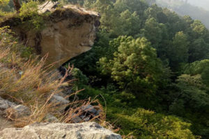 धनकुटाका खड्का ओढारमा मृत भेटिए