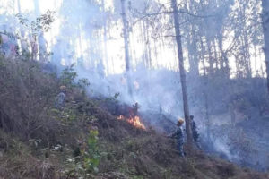 धनकुटामा डढेलो
