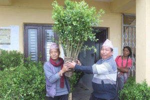 पाख्रीवास नगरपालिकाद्वारा कृषकलाई कागती र सुन्तलाका विरुवा वितरण