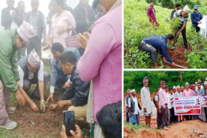 धनकुटामा नेकपाले रोप्यो ७ हजार बिरुवा