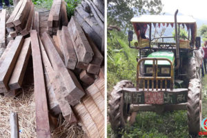 धनकुटाको महालक्ष्मीबाट तीन लाख भन्दा बढीको काठ बरामद