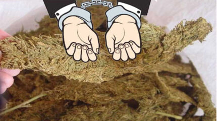 धरानबाट गाँजासहित धनकुटाका दुई जना पक्राउ