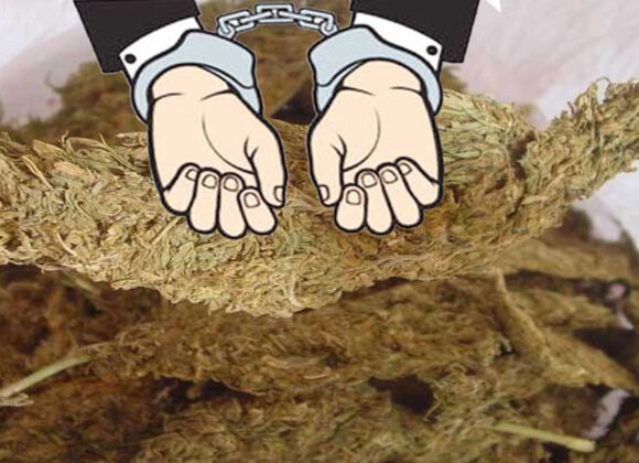 धरानबाट गाँजासहित धनकुटाका दुई जना पक्राउ