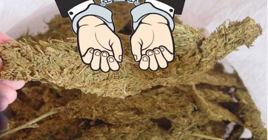 धरानबाट गाँजासहित धनकुटाका दुई जना पक्राउ