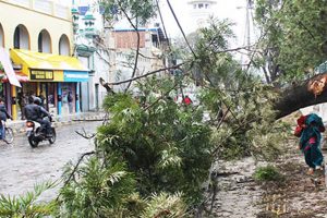 धरानमा रुखको हाँगा झरेर लाग्दा बहिनीको मृत्यु, दिदी घाईते