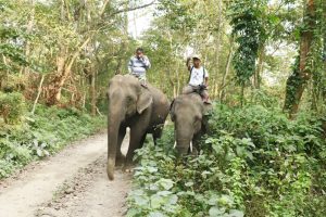 सौरहामा पर्यटकलाई ३० प्रतिशतसम्म छुट