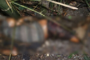 धनकुटामा किरा परेको अवस्थामा भेटियो बेवारिसे शव