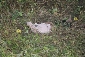 दुहवीमा १७ बर्षीय बालकको हत्या, तीन जना पक्राउ