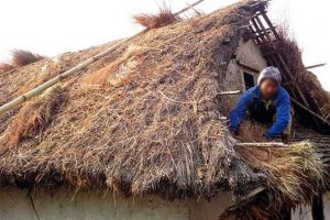 संखुवासभाका २ हजार घरधुरीको फुसको छानो हटाईदै