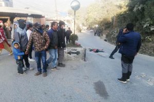 धनकुटामा बसले किच्दा महिलाको मृत्यु