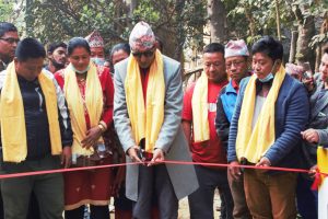 बेलबारीको धौती खोलामा सेल्फी पुल उद्घाटन