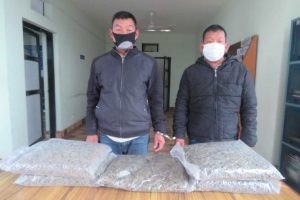 विराटनगरमा टेम्पुमा भेटियो गाँजा, चालकसहित दुई जना पक्राउ